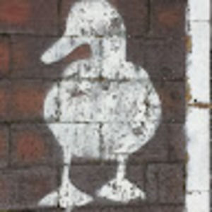 Meet your Posher, Max